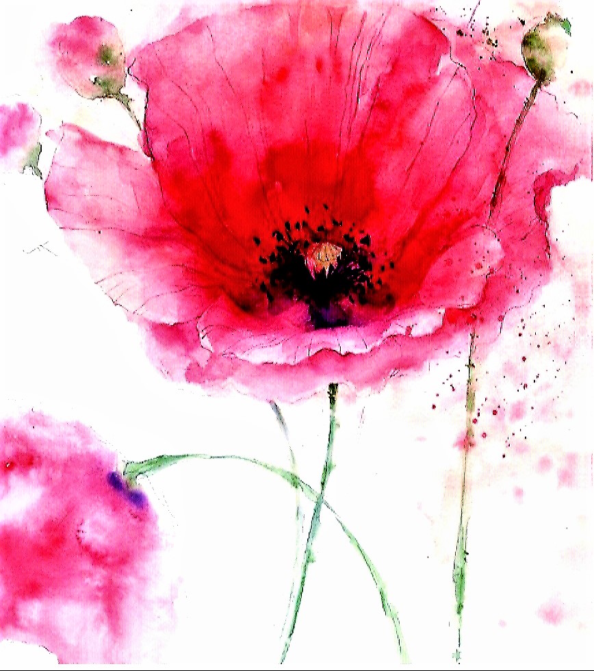 poppies pink v - The Mystic Medium